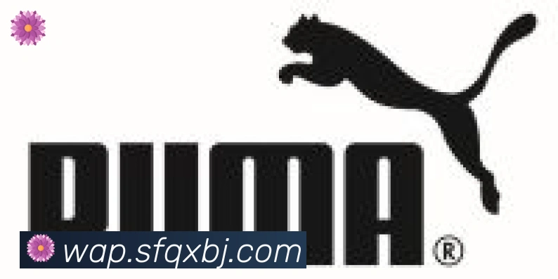 博亚app官网合作伙伴