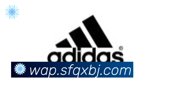 博亚app官网合作伙伴