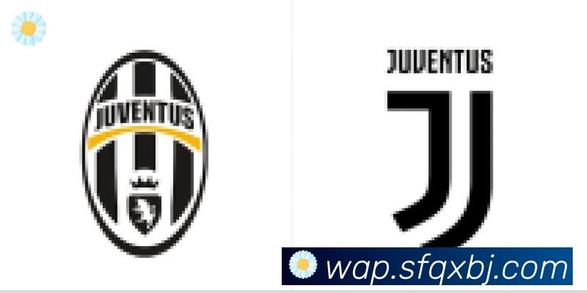 博亚app官网合作伙伴