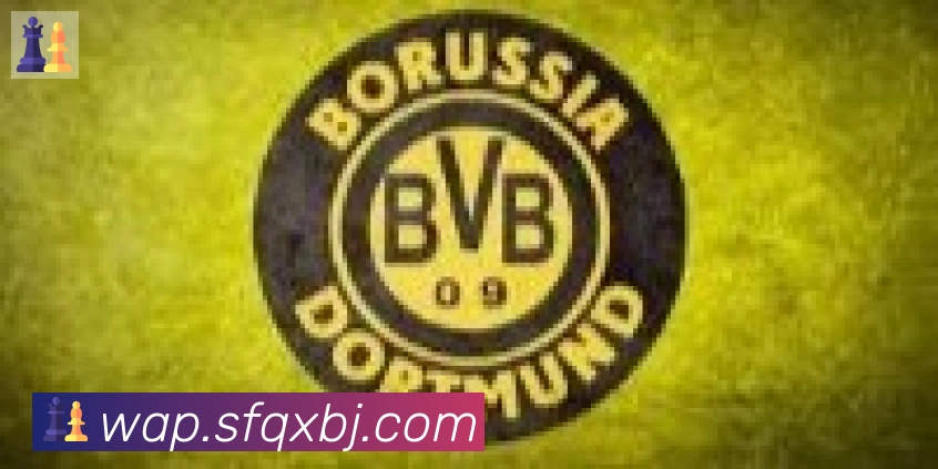 博亚app官网合作伙伴